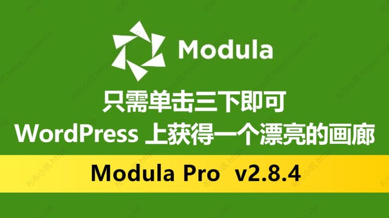 Modula Pro v2.8.4 画廊图库图像展示 WordPress插件-布布小筑-分享优质破解软件