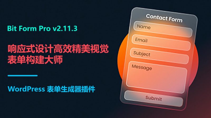 Bit Form Pro v2.11.3 高效精美视觉表单构建大师 WordPress 插件-布布小筑-分享优质破解软件