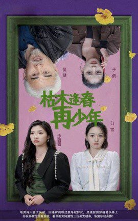 枯木逢春再少年 (2025)-布布小筑-分享优质破解软件