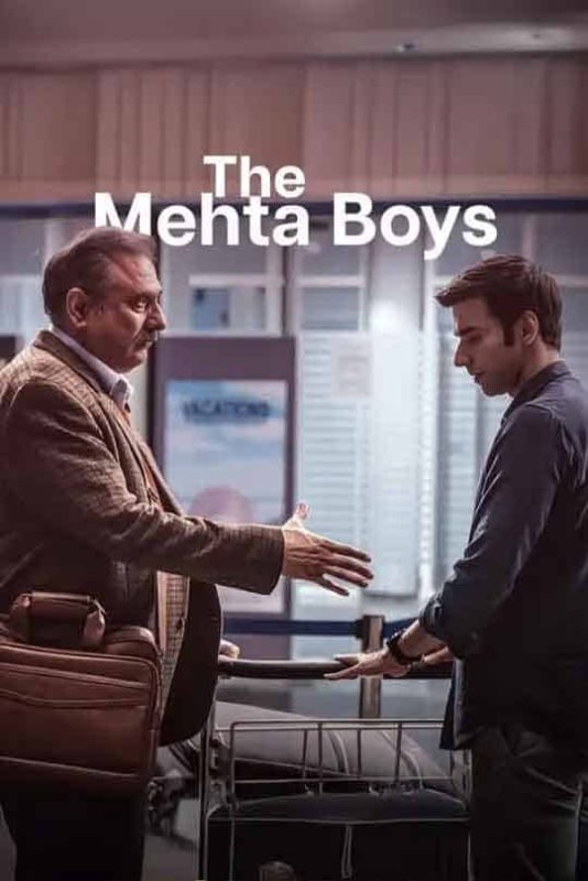 梅塔男孩 The Mehta Boys (2024)-布布小筑-分享优质破解软件