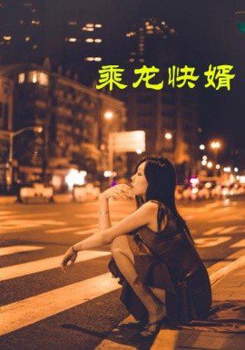 乘龙快婿 (2025)-布布小筑-分享优质破解软件