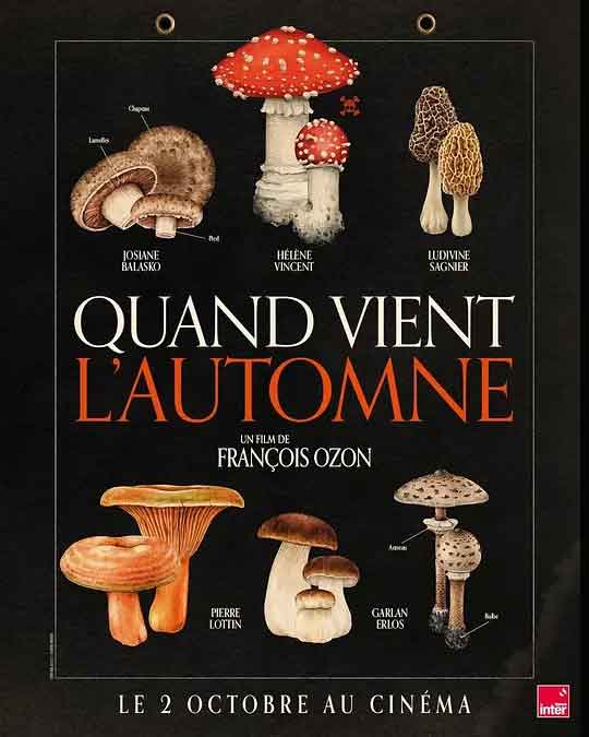 秋日何时来 Quand vient l’automne (2024)-布布小筑-分享优质破解软件