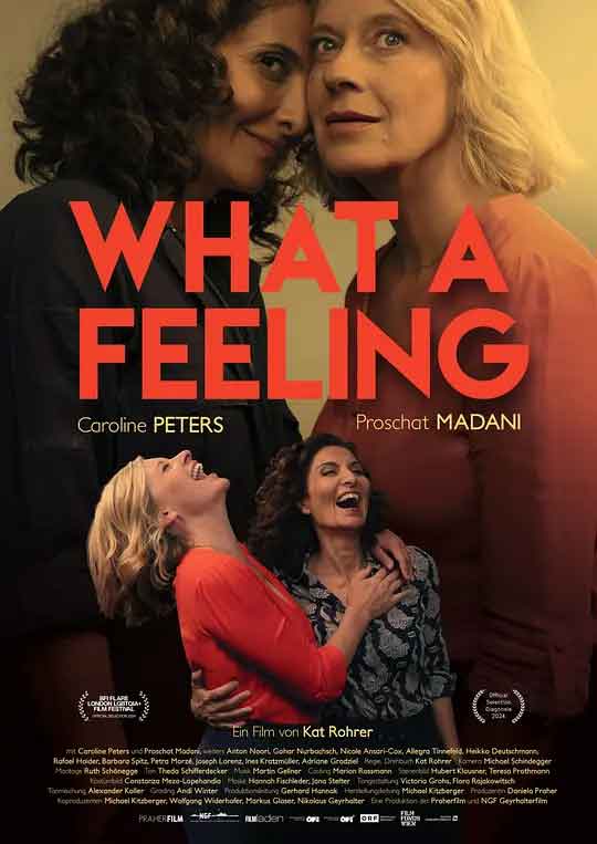 此刻姬情 What a Feeling (2024)-布布小筑-分享优质破解软件